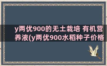 y两优900的无土栽培 有机营养液(y两优900水稻种子价格)